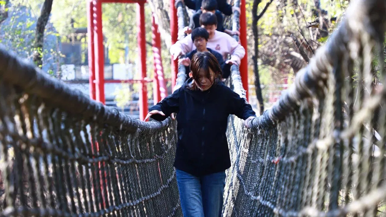 钢丝上的信任,巅峰上的成长——凯博高中部“生存岛”研学纪实